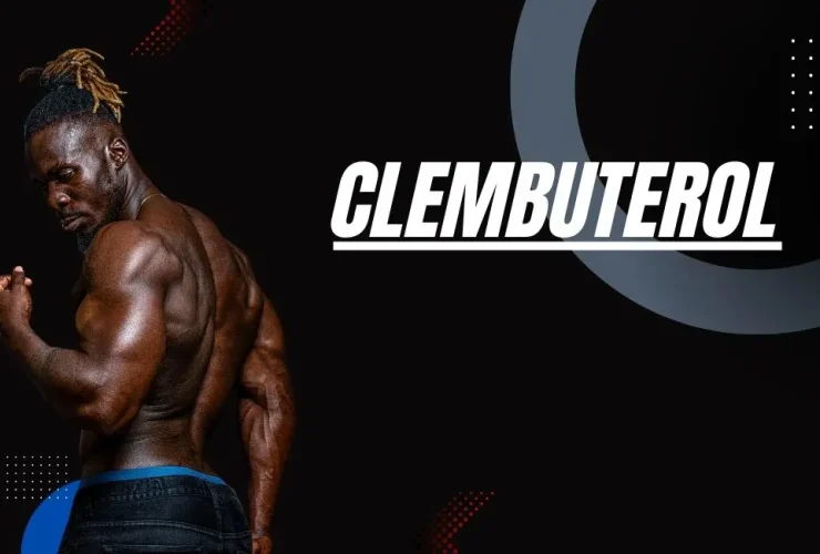 Clembuterol para que seerve