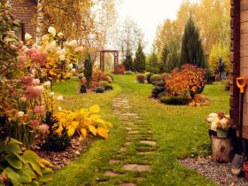 Todas as tarefas de jardinagem que você deve fazer em outubro 33 jardinagem