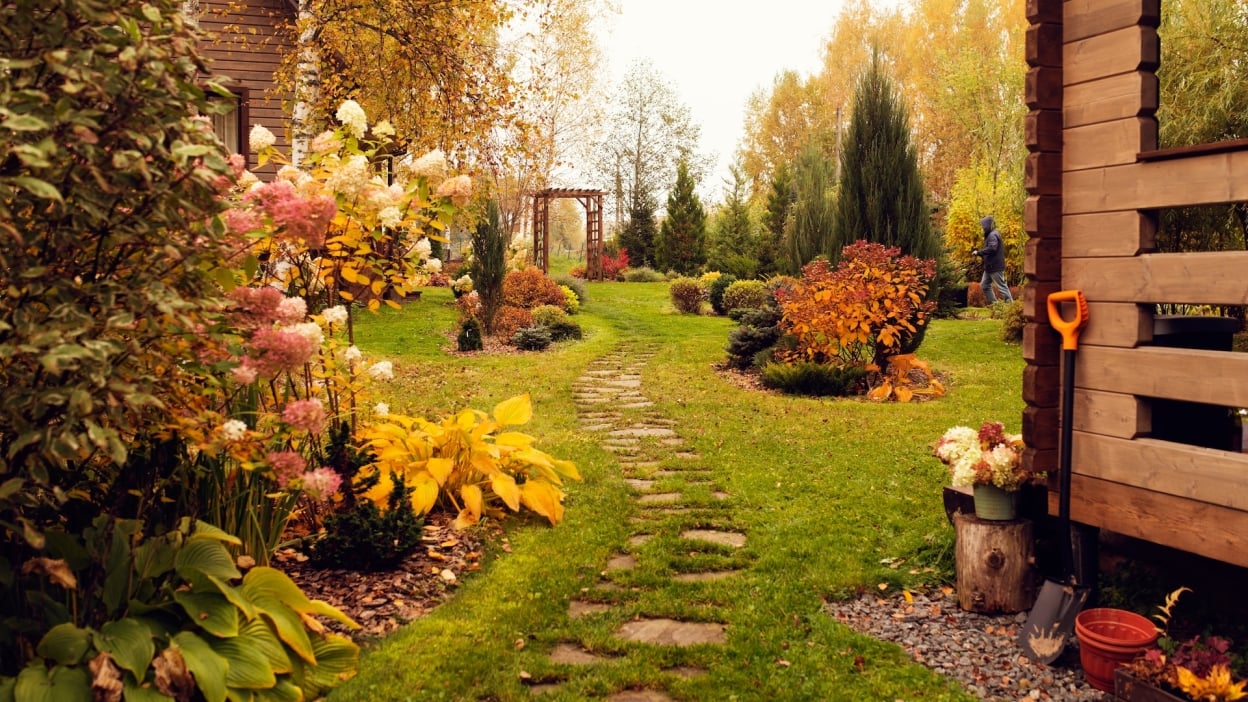 Todas as tarefas de jardinagem que você deve fazer em outubro 19 jardinagem