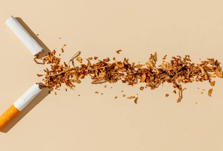 Por Que o Cigarro Eight é Proibido? Entenda os Motivos e Impactos da Decisão 24 Por Que o Cigarro Eight é Proibido