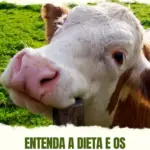 Story instagram bom dia motivacao para hoje verde e branco simples