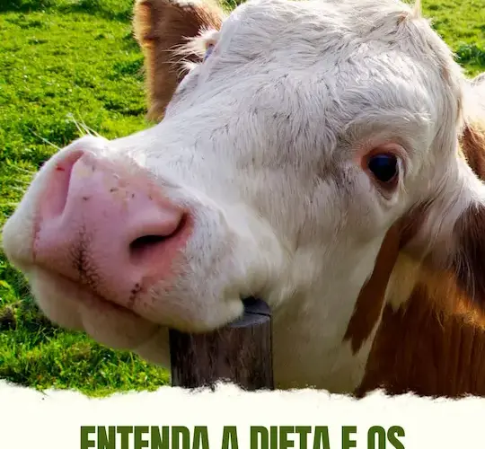 O Que a Vaca Bebe: Entenda a Dieta e os Cuidados com a Hidratação do Animal 24 Story instagram bom dia motivacao para hoje verde e branco simples