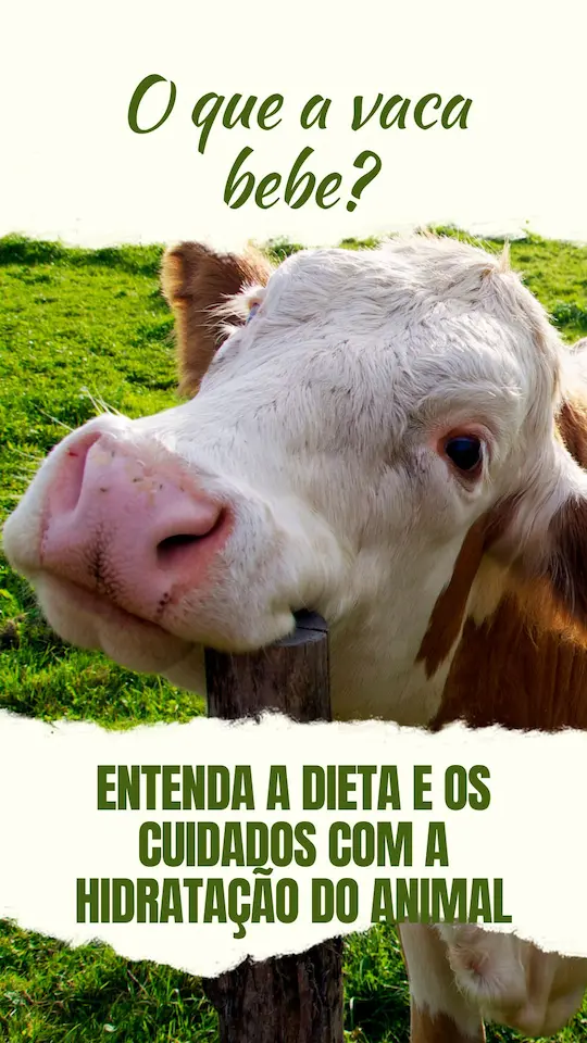 Story instagram bom dia motivacao para hoje verde e branco simples